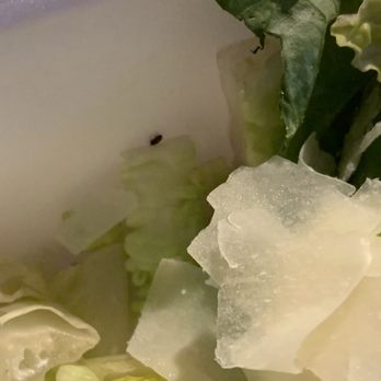 LongHorn Steakhouse - Live bug in my salad!! - Steakhouses Near Me - Flowood, Mississippi LongHorn Steakhouse - Live bug in my salad!! - Steakhouses Near Me - Flowood, Mississippi
