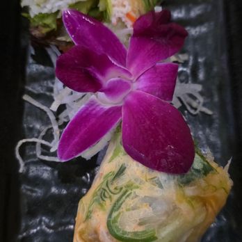 Sumo Sushi - Salmon Lobster Spring Roll - Sushi Bars Near Me - Las Vegas, Nevada Sumo Sushi - Salmon Lobster Spring Roll - Sushi Bars Near Me - Las Vegas, Nevada