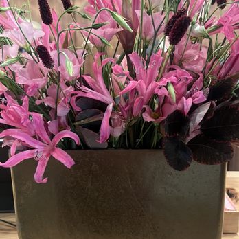 Longwood Gardens - Lovely pink flowers at the 1906 reception area - Botanical Gardens Near Me - Kennett Square, Pennsylvania