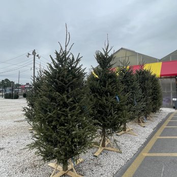 Houston Garden Centers - Nurseries & Gardening Near Me - Houston, Texas Houston Garden Centers - Nurseries & Gardening Near Me - Houston, Texas