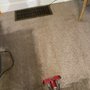 Photo of MW Carpet Cleaning Unlimited