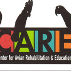 Center for Avian Rehabilitation & Education
