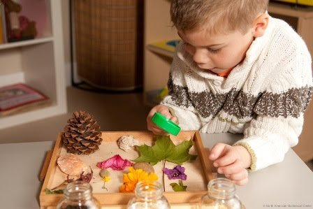 Tiny Plum Montessori - childcare center in Plano, TX
