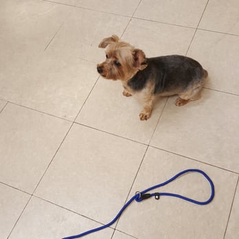 PetSmart - Pet Training Near Me - Glen Burnie, Maryland