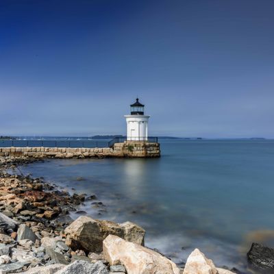 Bug Light Park by null
