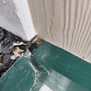 Tomrose Construction - General Contractors Near Me - Petaluma, California