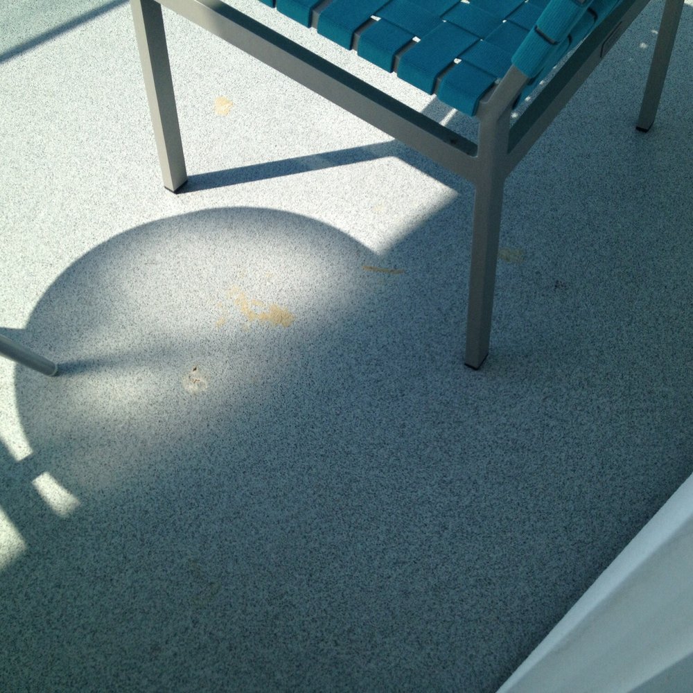Opal Sands - Lots of bird poop on balcony - Resorts Near Me - Clearwater Beach, Florida Opal Sands - Lots of bird poop on balcony - Resorts Near Me - Clearwater Beach, Florida