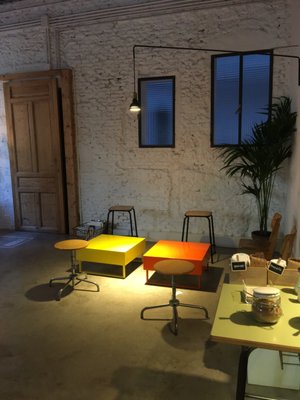 Monkee Koffee by null