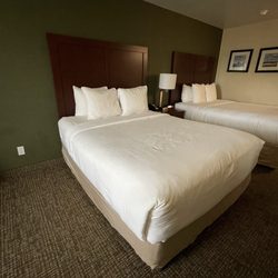Comfort Inn & Suites - Beds are comfy and beds sheets are very soft!