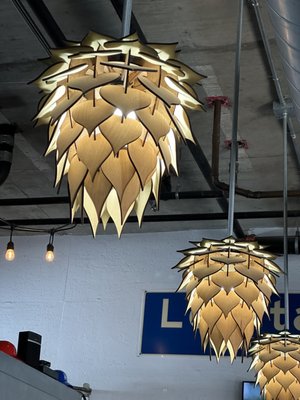 Burnin Daylight Brewing Company by null