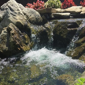 Pond Professors - Landscaping Near Me - Greensboro, North Carolina