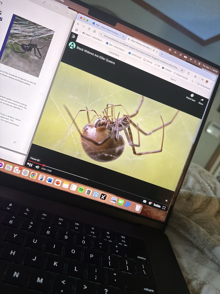 The CE Collective - reading tutor in Greensboro, NC