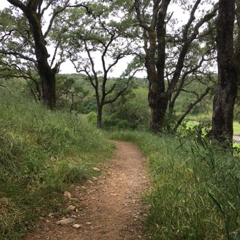 Rush Creek Preserve - The single track in Spring - green everywhere. - Hiking Near Me Rush Creek Preserve - The single track in Spring - green everywhere. - Hiking Near Me