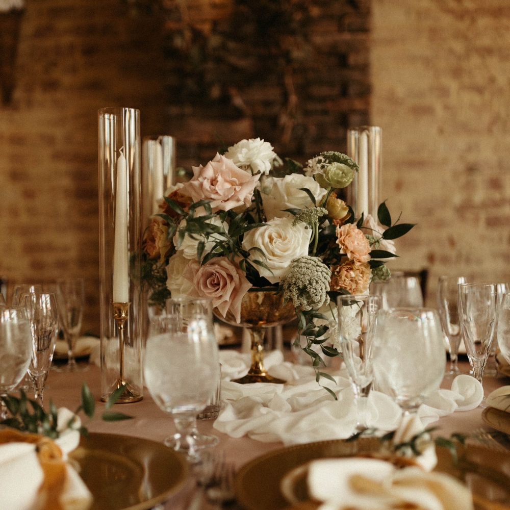 Snapcamz secret stars