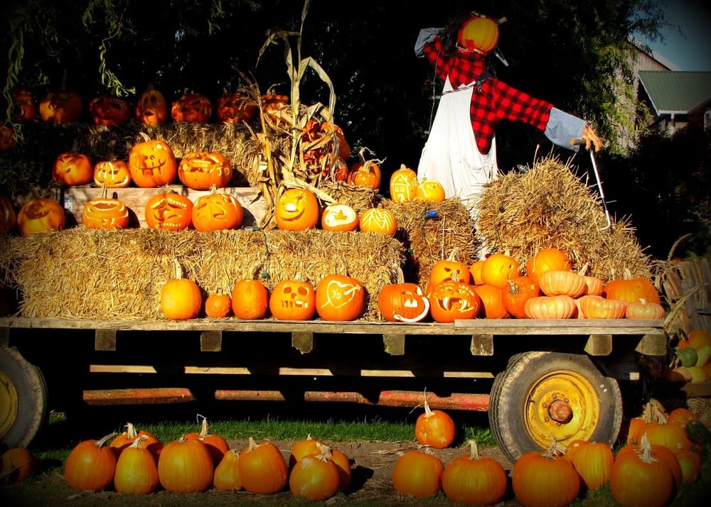 WESTHAM ISLAND HERB FARM Updated July 2024 22 Photos 4960