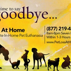 Pet Loss At Home - Home Euthanasia Vets