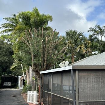 MGH Landscaping - Trabajos de MGH - Tree Services Near Me - Lake Worth, Florida MGH Landscaping - Trabajos de MGH - Tree Services Near Me - Lake Worth, Florida