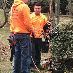 David Dell Tree Service