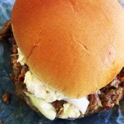 B & L Country Store - Pulled pork sandwich