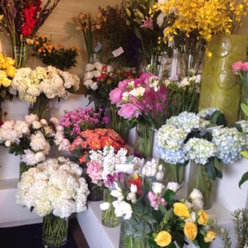 Bridget's Blooms - More from her shop. - Florists Near Me - La Jolla, California Bridget's Blooms - More from her shop. - Florists Near Me - La Jolla, California