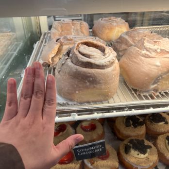 Hurts Donut - Look how big this is - Donuts Near Me - New Orleans, Louisiana Hurts Donut - Look how big this is - Donuts Near Me - New Orleans, Louisiana
