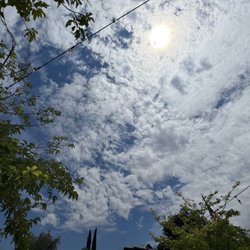 Rancho Bernardo Farmers Market