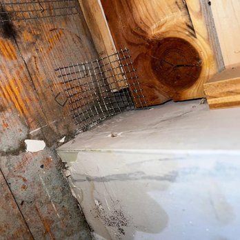 ASAP Rodent Exclusion Pro - Pest Control Near Me - San Francisco, California ASAP Rodent Exclusion Pro - Pest Control Near Me - San Francisco, California