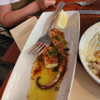 Mediterranean Exploration - Octopus - Mediterranean Near Me - Portland, Oregon Mediterranean Exploration - Octopus - Mediterranean Near Me - Portland, Oregon