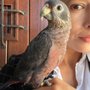 Photo of Patty's Pets