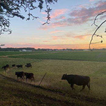 Oostema Farmstead - Vacation Rentals Near Me - Lynden, Washington