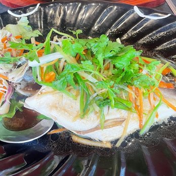 Surina Thai - Steamed Fish - Thai Near Me - Chamblee, Georgia Surina Thai - Steamed Fish - Thai Near Me - Chamblee, Georgia