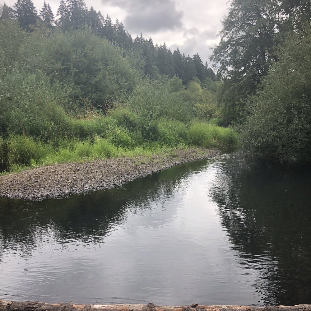 Salmon Creek Greenway Trail - The suds river - Parks Near Me - Vancouver, Washington