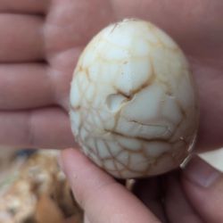 With Love, Cat & Theia - Tea Egg