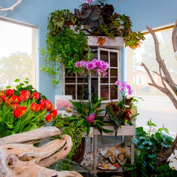 All About the Vase - Florists Near Me - Clearwater, Florida All About the Vase - Florists Near Me - Clearwater, Florida