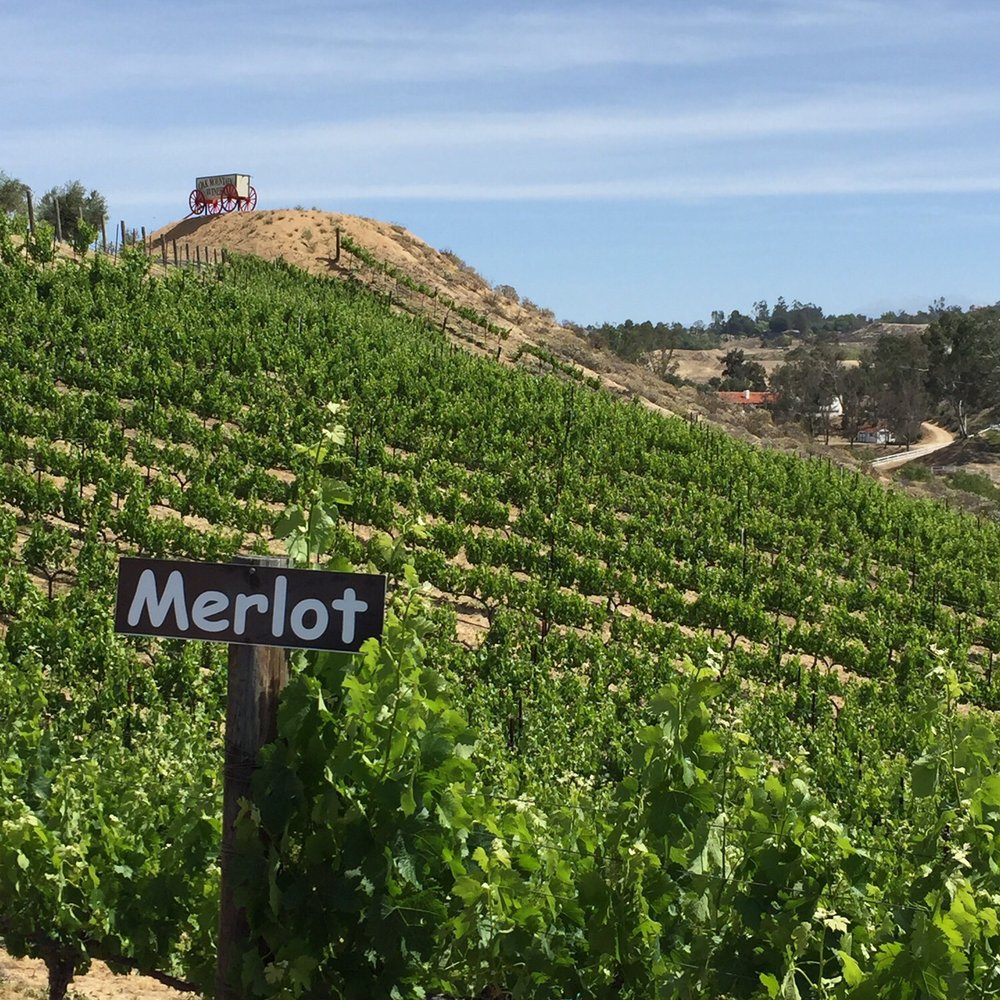Oak Mountain Winery - Wineries Near Me - Temecula, California Oak Mountain Winery - Wineries Near Me - Temecula, California