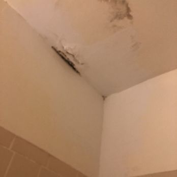 Americana Inn - Black mold in their shower - Hotels Near Me - New York, New York Americana Inn - Black mold in their shower - Hotels Near Me - New York, New York