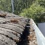 Shine Gutter Cleaning