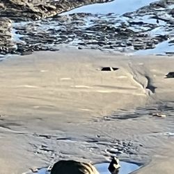 El Capitan State Beach - Let's go explore the tide pool!
