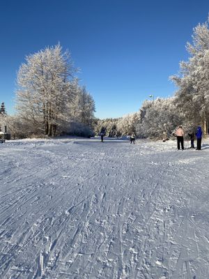 Kincaid Park by null