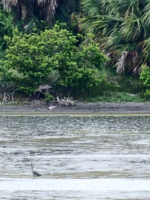 Pelican Island National Wildlife Refuge by null