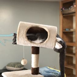 Hope Animal Shelter - Who said I don't fit here?