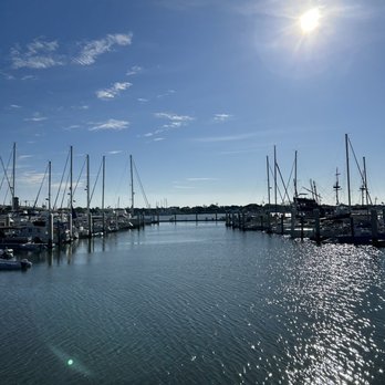 St Augustine Eco Tours - Tours Near Me - Saint Augustine, Florida