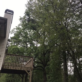 Top Tier Trees - Trim and prune branch away from house - Tree Services Near Me - Marietta, Georgia Top Tier Trees - Trim and prune branch away from house - Tree Services Near Me - Marietta, Georgia