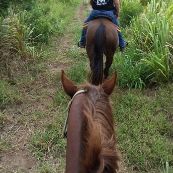Ironwood Ranch - Horseback Riding Near Me - Lahaina, Hawaii Ironwood Ranch - Horseback Riding Near Me - Lahaina, Hawaii