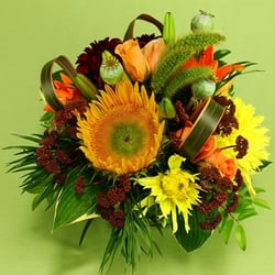 Rebecca's Flower Shoppe - summer fun