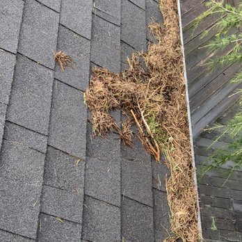 B&B Services - Full gutters - Handyman Near Me - San Bruno, California B&B Services - Full gutters - Handyman Near Me - San Bruno, California