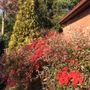 Photo of Maryland Gardens Tree & Shrub Farm