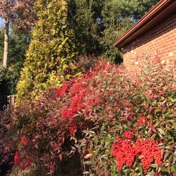 Maryland Gardens Tree & Shrub Farm