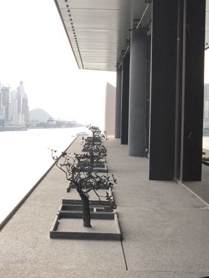 Regent Hong Kong - 5-Star Luxury Hotels by null