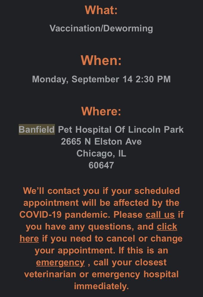 petsmart elston banfield